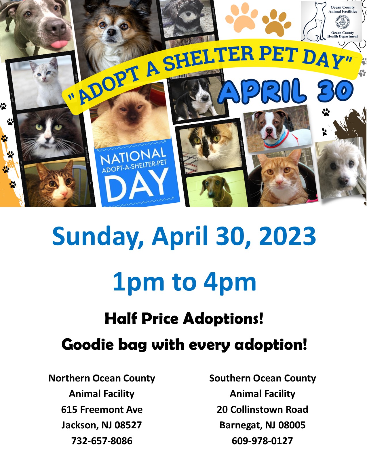 National-Adopt-a-Shelter-Pet