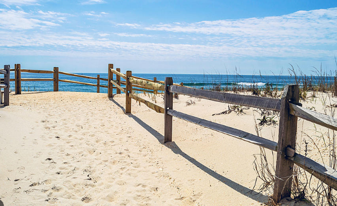 Berkeley Township Beach Badges