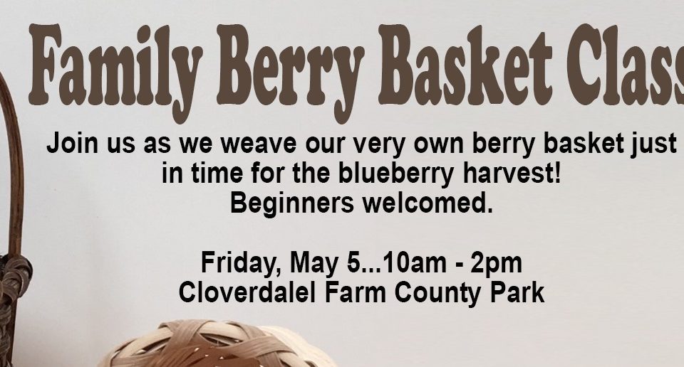 family berry basket class