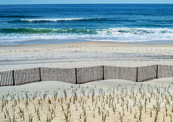 Long Beach Island Beach Badges