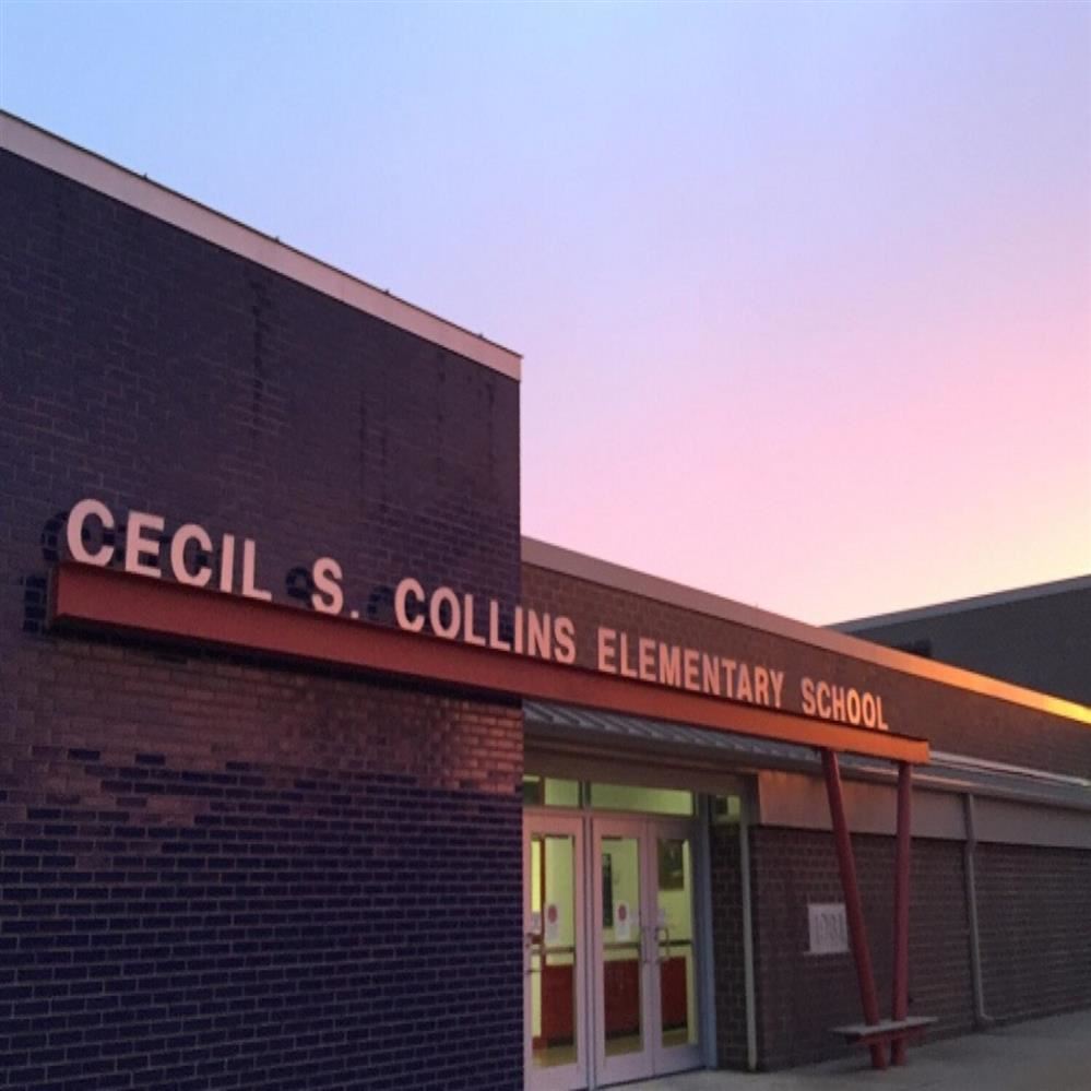 Cecil S. Collins School