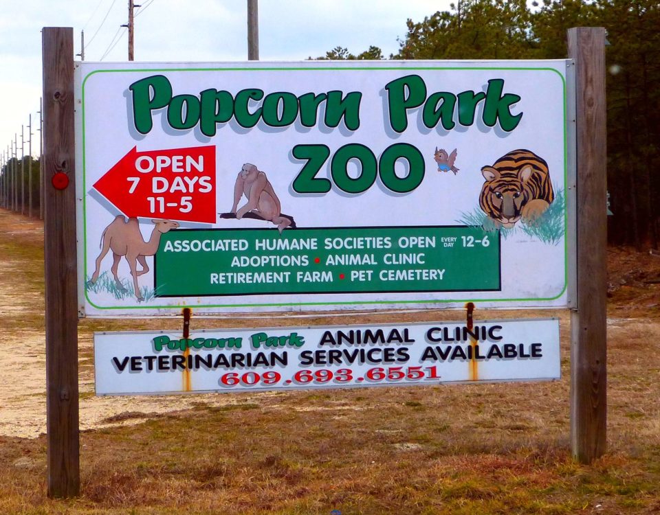 Popcorn Park Zoo in Forked River NJ. Best of Ocean County Things to do.